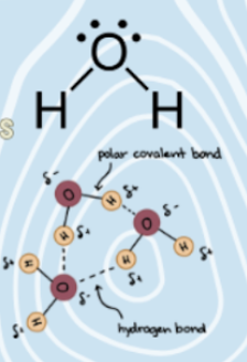 chemistry iii