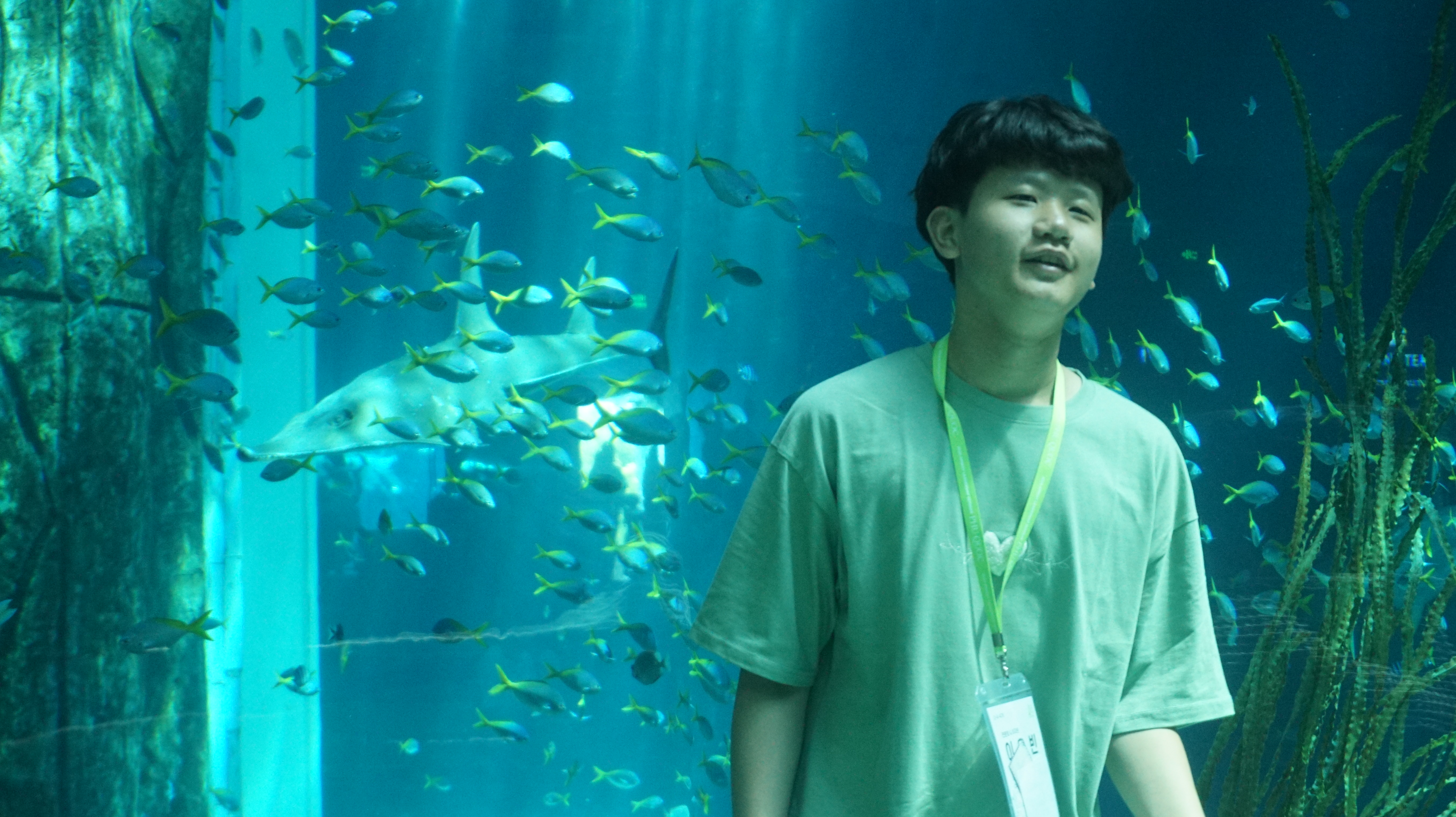 Picture that represent myself